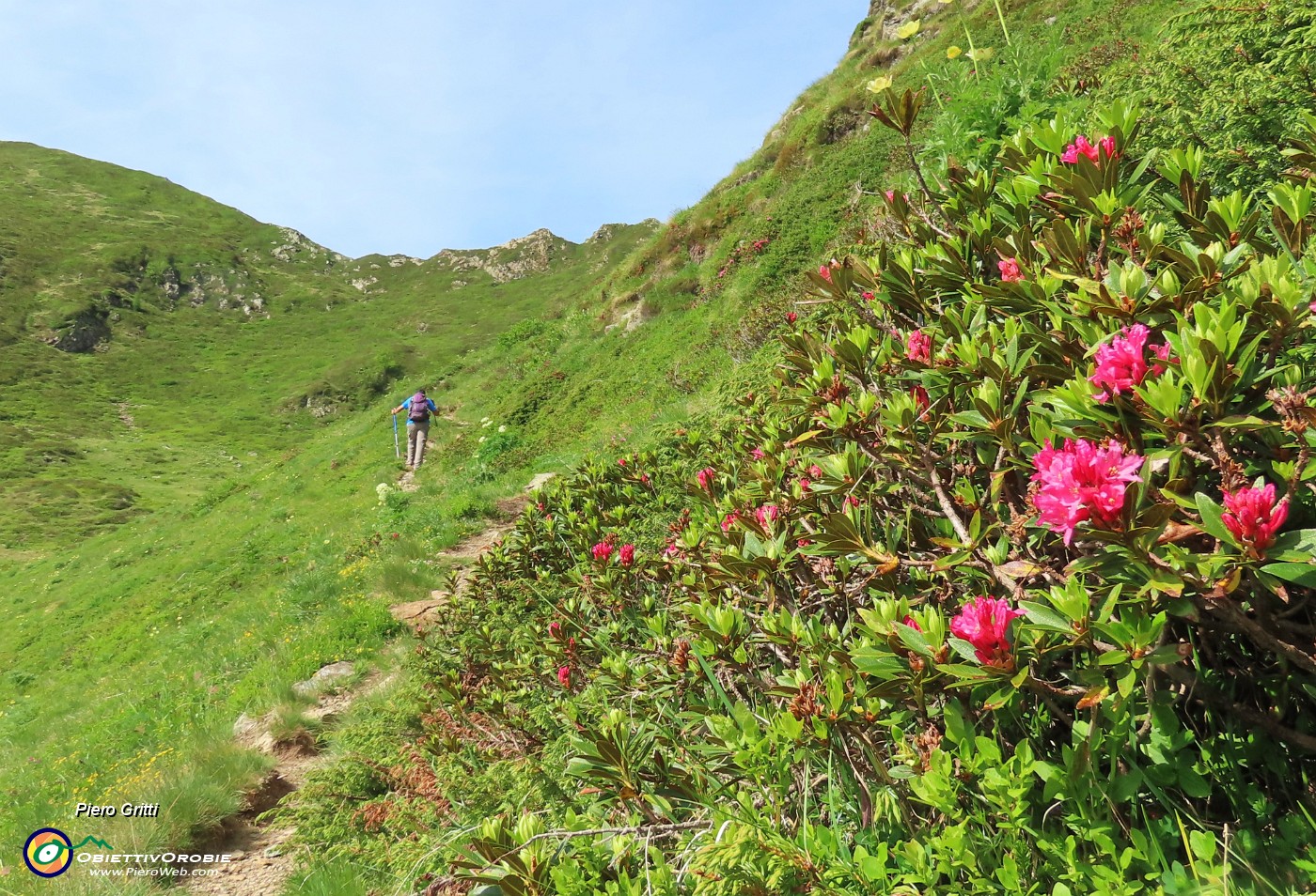 28 In vista della Forcella Rossa ,rossa per i rododendri rossi.JPG